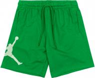 Шорты Nike M J ESS FLC HBR SHORT DX9667-310 р. 2XL зеленый