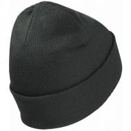 Шапка Jack Wolfskin 1903892_4136 р.one size зелений