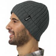 Шапка Jack Wolfskin 1907122_4136 р.one size сіро-зелений