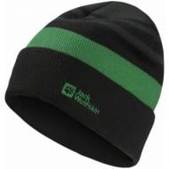 Шапка Jack Wolfskin 1910402_T0354 р.M зелений