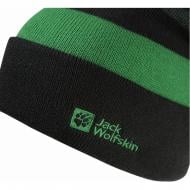 Шапка Jack Wolfskin 1910402_T0354 р.S зелений