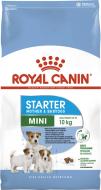 Корм сухой для щенков для малых пород Royal Canin MINI STARTER (Мини Стартер Мазер&Бебидог), 8,5 кг 8,5 кг