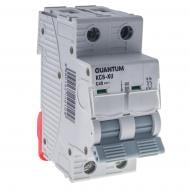 Автоматичний вимикач Quantum 9109 / KC6-K/ C/2P/40A-6k Автоматичний вимикач Quantum 9109 / KC6-K/ C/2P/40A-6k