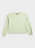 Свитшот 4F SWEATSHIRT F699 4FAW23TSWSF699-42S р.L зеленый