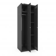 Шкаф для одежды (локеры) Меткас двойная 300/2-2U,1800х600х500 мм, 9005RAL(антрацит)