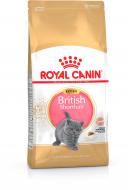 Корм сухой для котят Royal Canin Kitten British Shorthair 10 кг