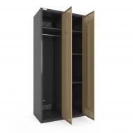 Шкаф для одежды (локеры) Меткас двойная 400/2-2U,1800х800х500 мм, стенки 9005RAL(антрацит), фасады 1001RAL(бежевый)