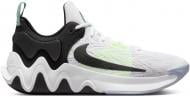 Кроссовки мужские демисезонные Nike GIANNIS IMMORTALITY 2 DM0825-101 р.42 разноцветные