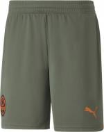 Шорти Puma FCSD Shorts Replica 76563903 р. M зелений