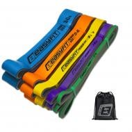 Петля для фитнеса EasyFit 2-63 кг (5 шт.) EF-2635s разноцветный Петля для фитнеса EasyFit 2-63 кг (5 шт.) EF-2635s разноцветный