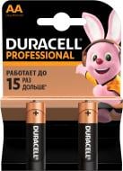 Батарейки Duracell Professional AA (LR6, 316) 2 шт. (81578678)