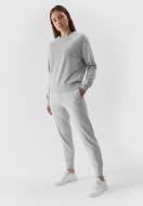 Брюки 4F TROUSERS CAS F474 4FAW23TTROF474-27M р. M серый