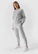 Брюки 4F TROUSERS CAS F474 4FAW23TTROF474-27M р. S серый Брюки 4F TROUSERS CAS F474 4FAW23TTROF474-27M р. S серый