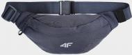 Сумка на пояс 4F WAIST BAG U051 WAIST BAG U051 4FAW23AWAIU051-22S синий