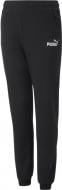 Брюки Puma ALPHA SWEATPANTS FL CL G 67022201 р. 152 черный