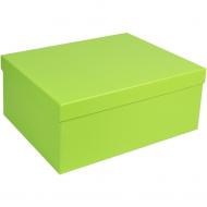 Коробка подарочная Соніліка Салатовая 27x20x11.5см 1110229815
