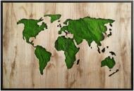 Картина Green deco Green map 70x100 см Styler OB-22668