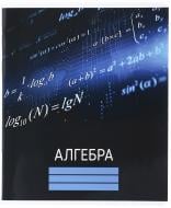 Зошит шкільний Алгебра 48 аркушів у клітинку Nota Bene