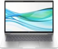 Ноутбук HP ProBook 445 G11 14" (8Z9P6AV_V3) pike silver