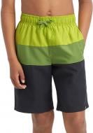 Шорты Firefly Natal 412238-905694 р. 152 разноцветный