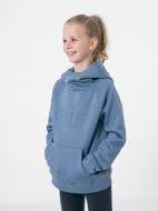 Джемпер 4F NOSDJ-JBLD301-32S синій