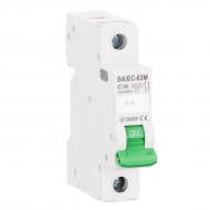 Автоматичний вимикач Електросистеми України ВА/ЕС-63М 1р, 32А, С, 6кА 9510012032