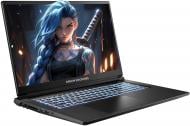 Ноутбук Dream Machines RG5050-17 17,3" (RG5050-17UA27) black
