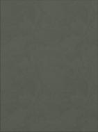 Фасад для кухні Грейд-Плюс Цемент Хакі №274 533x396 Топ модель R-1