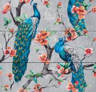 Плитка Tiger Teide peacocks 75x75