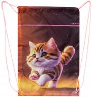 Сумка для обуви CLASS Kitty 46х33 см 2535C (13010138)