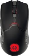 Мышь Canyon Carver GM-116 Gaming Wired black (CND-SGM116)