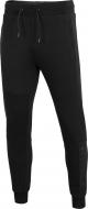 Брюки 4F D4L21-SPMD200-20S р. 2XL черный