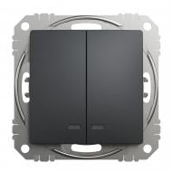 Выключатель двухклавишный Schneider Electric Sedna Design с подсветкой черный SDD114105L Выключатель двухклавишный Schneider Electric Sedna Design с подсветкой черный SDD114105L