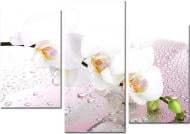 Картина модульная MD021 96x70 см YS-Art MD021 Картина модульная MD021 96x70 см YS-Art MD021