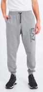 Брюки EA7 TROUSER 3KPP93-PJ8BZ-3905 р. 3XL серый