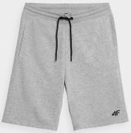 Шорты 4F NOSD4-SKMD300-27M р. S светло-серый Шорты 4F NOSD4-SKMD300-27M р. S светло-серый