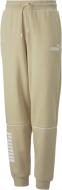 Брюки Puma PUMA POWER COLORBLOCK HIGH-WAIST PANTS FL G 67020667 р. 164 бежевый Брюки Puma PUMA POWER COLORBLOCK HIGH-WAIST PANTS FL G 67020667 р. 164 бежевый