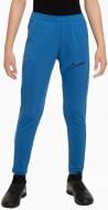 Брюки Nike Dri-Fit Academy 23 Junior DX5490-457 р. L синий