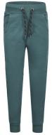 Штани для хлопчиків DJ Dutchjeans р.158 зелений S48756-45