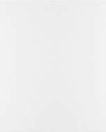 Боковина Грейд Белый матовый RAL9003 720х579 н/св топ модель R-1/ Альфа