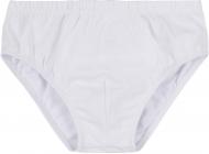 Трусы для мальчиков Bembi ТР5 р.104 белый 22005011039.100