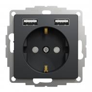 Розетка + USB с заземлением Schneider Electric Sedna Design со шторками без крышки черный SDD114052 Розетка + USB с заземлением Schneider Electric Sedna Design со шторками без крышки черный SDD114052