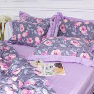 Комплект постельного белья Satin print Elit Aster 160х220 см мультиколор MirSon