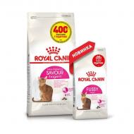 Корм сухой для взрослых кошек Royal Canin Exisent Savour 2,4 кг