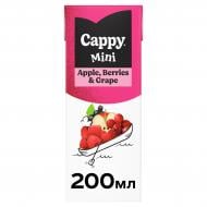 Нектар CAPPY стерилізований яблуко-ягоди-виноград 0,2 л