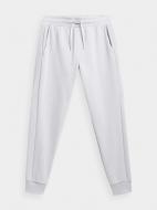 Брюки 4F D4L21-SPMD205-25S р. XL серый Брюки 4F D4L21-SPMD205-25S р. XL серый