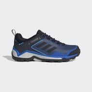 Кроссовки мужские демисезонные Adidas TERREX EASTRAIL GTX EG6204 р.43 1/3 голубые