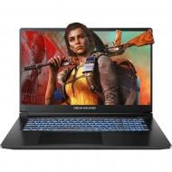 Ноутбук Dream Machines RT5060-17UA27 17,5" (RT5060-17UA27) black