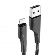 Кабель Essager Rousseau USB to Lightning 2.4A Fast Charging Cable 3 м black (EXCL-LSC01)