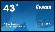 Дисплей інформаційний Iiyama 43 LH4346HS-B1